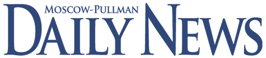 Daily news logo
