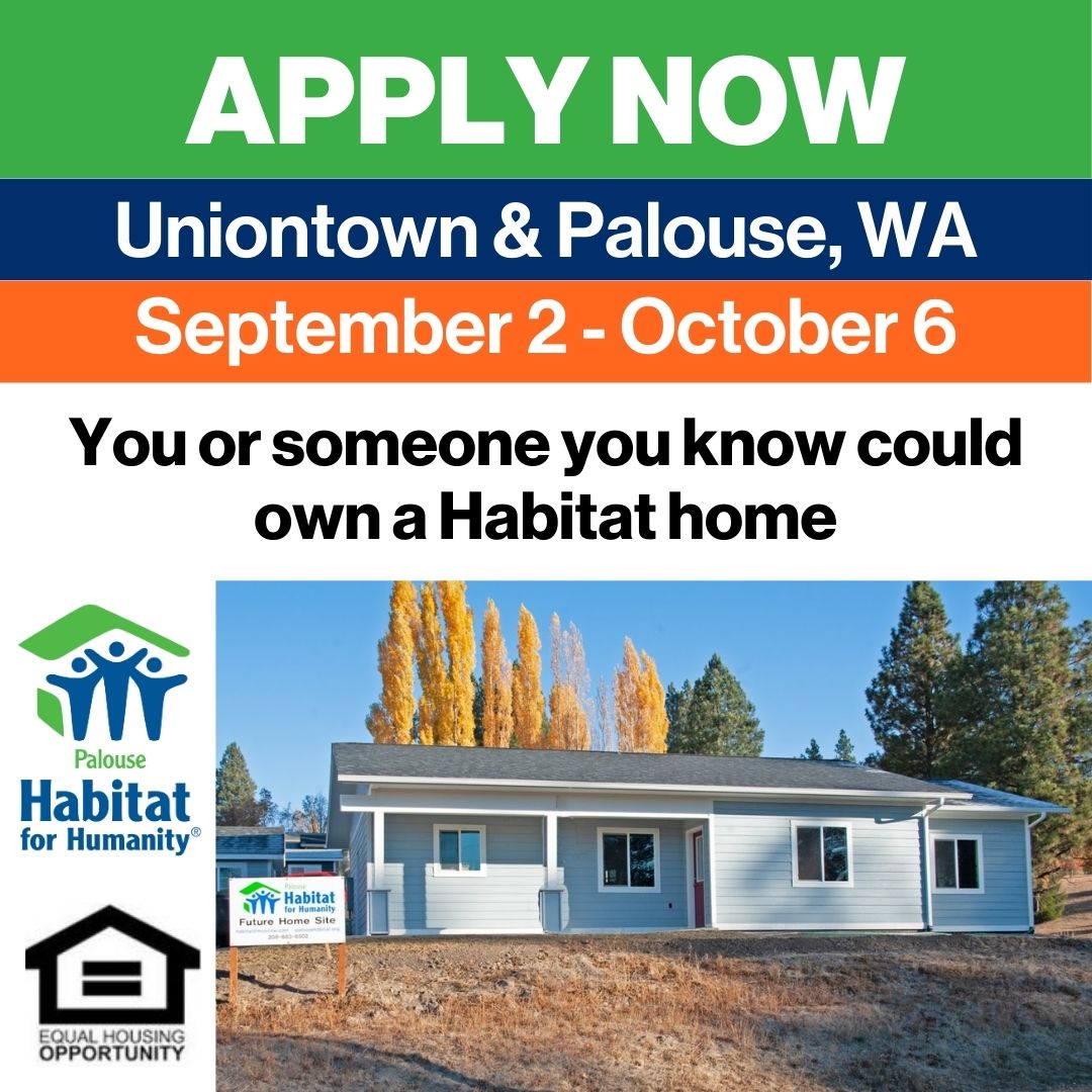 apply now (1)